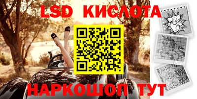 молекула духа Новозыбков