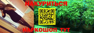 герыч Новодвинск