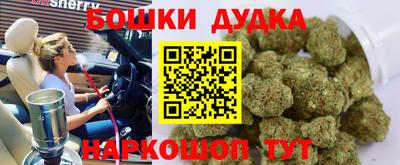молекула духа Новозыбков