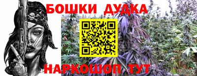 ешки Новокубанск