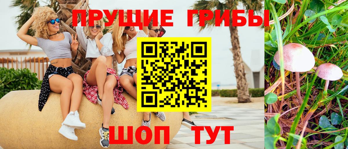 Псилоцибиновые грибы GOLDEN TEACHER  Псилоцибиновые грибы Magic Shrooms  Вход с VPN  Находка 